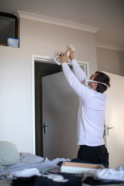 Best Mold Odor Removal Services  in Pinewood Estates, TX