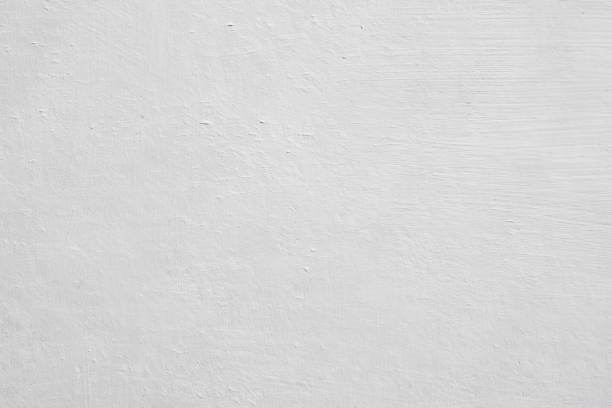 Best Mold Damage Restoration  in Pinewood Estates, TX